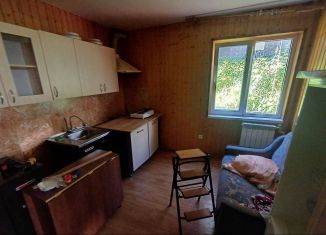 Двухкомнатная квартира в аренду, 40 м2, село Орёл-Изумруд, улица Лазурная Долина, 133