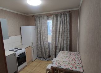 1-ком. квартира в аренду, 39 м2, Котельники, 3-й Покровский проезд, 1, ЖК Парковый