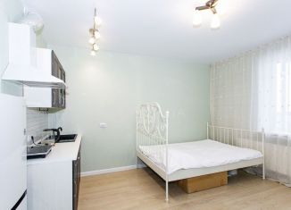 Сдача в аренду 1-комнатной квартиры, 24.2 м2, Обь, Октябрьская улица, 5