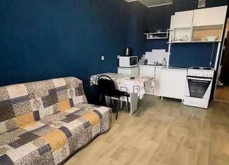 Сдаю в аренду квартиру студию, 29 м2, Томская область, Большая Подгорная улица, 87блок6