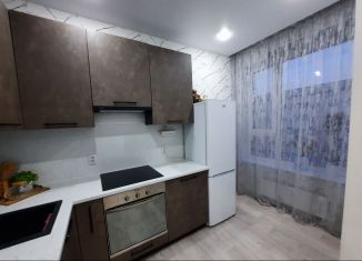 Сдается в аренду квартира студия, 30 м2, Курган, улица Коли Мяготина, 181, жилой район Центральный