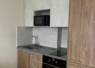 Сдаю в аренду 1-комнатную квартиру, 44 м2, Екатеринбург, улица Степана Разина, 107Б, метро Геологическая