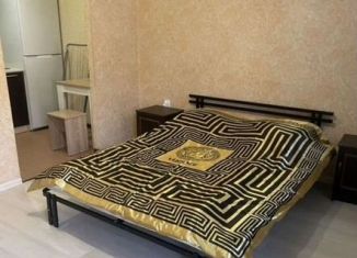 Аренда квартиры студии, 29 м2, Сочи, Целинная улица, 15/7А, микрорайон Мамайка