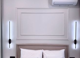 Сдаю в аренду 1-ком. квартиру, 35 м2, Сочи, переулок Трунова, 6к7