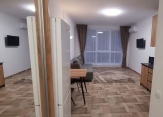 Продажа квартиры студии, 28.7 м2, Краснодар, улица Карякина, 5к3, микрорайон ЗИП