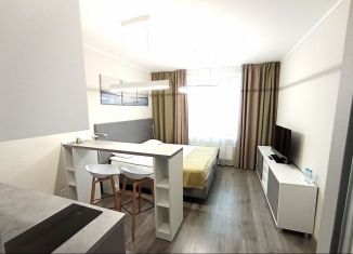 Продажа квартиры студии, 24.1 м2, Санкт-Петербург, Витебский проспект, 101к1, муниципальный округ Гагаринское