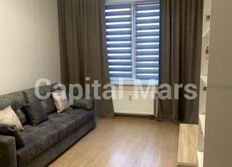 1-комнатная квартира в аренду, 31 м2, Санкт-Петербург, 1-й Предпортовый проезд, 11, муниципальный округ Новоизмайловское