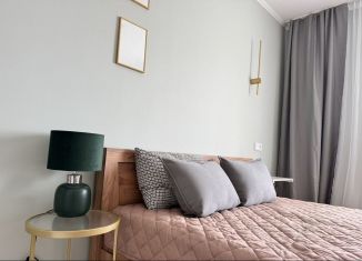 Сдам 2-комнатную квартиру, 70 м2, Благовещенск, улица Ленина, 113