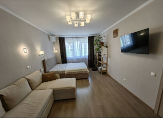 Продается 1-комнатная квартира, 38.6 м2, село Раздольное, Тепличная улица, 63к2