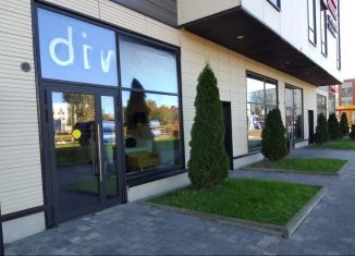 Продаю помещение свободного назначения, 164.8 м2, Санкт-Петербург, Заневский проспект, 65