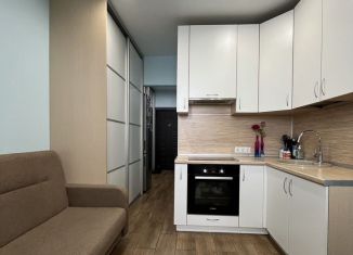 Продаю квартиру студию, 18.2 м2, деревня Афонино, улица Красная Поляна, 1