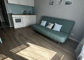 Продаю квартиру студию, 20 м2, Люберцы, улица 8 Марта, 20к1, ЖК Люберцы Парк