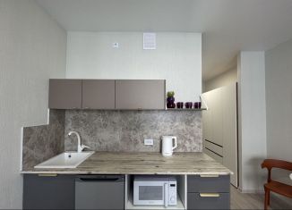 Сдаю в аренду квартиру студию, 25 м2, Екатеринбург, улица Фрунзе, 31, метро Геологическая