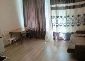 Сдаю в аренду квартиру студию, 24.5 м2, Санкт-Петербург, проспект Ветеранов, 175, Красносельский район