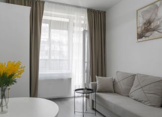 Продажа квартиры студии, 24.2 м2, Санкт-Петербург, улица Ивана Куликова, 12, ЖК Солнечный Город. Резиденции