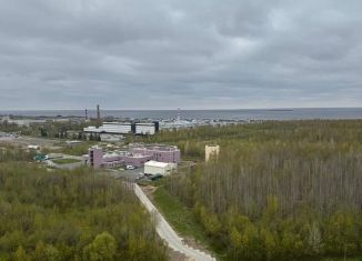 Продажа квартиры студии, 27 м2, Санкт-Петербург, улица Адмирала Черокова, 20, муниципальный округ Южно-Приморский