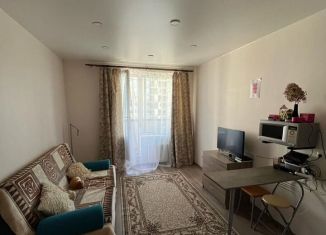 Продажа квартиры студии, 24.4 м2, Кудрово, Пражская улица, 9, ЖК Вернисаж