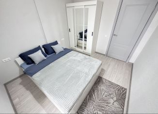 1-комнатная квартира в аренду, 35 м2, Тула, Калужское шоссе