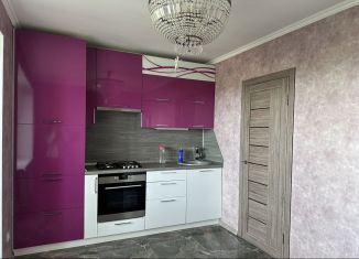 Сдам в аренду однокомнатную квартиру, 55.4 м2, Краснодарский край, Передовая улица, 217