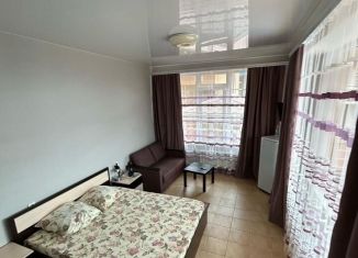 Сдам в аренду квартиру студию, 20 м2, Сочи, Православная улица, 35/7А