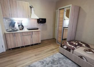 Сдаю в аренду квартиру студию, 25 м2, Сочи, улица Богдана Хмельницкого, 33, микрорайон Центральный