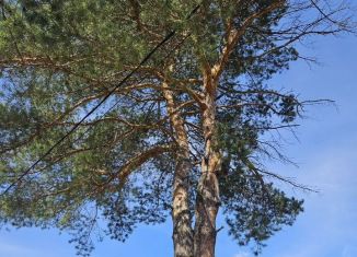 Земельный участок на продажу, 10 сот., посёлок станции Пальники, Молодёжная улица