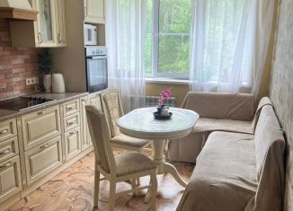 Сдается 2-комнатная квартира, 50 м2, деревня Бородино, Варшавское шоссе, 82, ЖК Европа