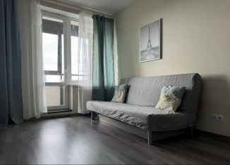 Сдаю в аренду квартиру студию, 28 м2, Санкт-Петербург, Рыбацкий проспект, 18к2