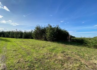 Продается земельный участок, 17.7 сот., деревня Сепыч, Сосновая улица, 1