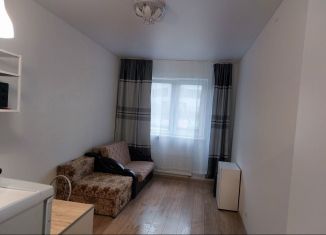 Сдается в аренду квартира студия, 25 м2, Екатеринбург, улица Новостроя, 9, Чкаловский район