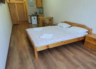 Аренда комнаты, 27 м2, Сочи, Штурманский переулок, 17А