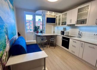 Сдам в аренду однокомнатную квартиру, 41 м2, Колпино, Загородная улица, 43к4