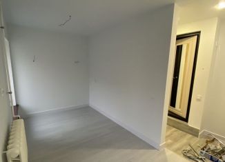 Продажа квартиры студии, 19 м2, Санкт-Петербург, Московский проспект, 56, метро Фрунзенская