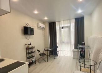 Квартира на продажу студия, 18.4 м2, Сочи, Курортный проспект, 84, микрорайон Яна Фабрициуса