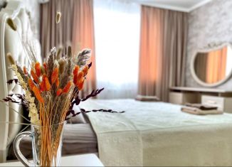 2-ком. квартира в аренду, 52 м2, Пятигорск, Оранжерейная улица, 17к1