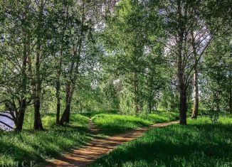 Продам земельный участок, 23 сот., СНТ Усадьба, СНТ Усадьба, 42