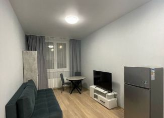 Квартира на продажу студия, 24.4 м2, Екатеринбург, улица Новостроя, 7, ЖК Фристайл