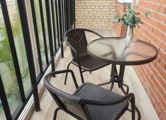 Сдаю в аренду 1-комнатную квартиру, 45 м2, Йошкар-Ола, улица Эшкинина, 19, микрорайон Центральный