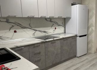 Сдача в аренду 2-комнатной квартиры, 55 м2, Махачкала, Шёлковая улица, 13, ЖК Лидер