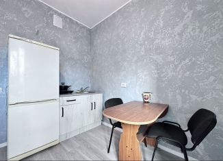 Однокомнатная квартира в аренду, 27 м2, Мурино, Воронцовский бульвар, 21к3