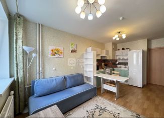 Продаю квартиру студию, 25.6 м2, посёлок Парголово, улица Николая Рубцова, 5