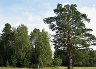 Участок на продажу, 5.6 сот., деревня Решетникова, Бирюзовая улица