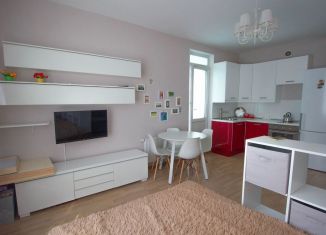 Сдается в аренду квартира студия, 31 м2, Кудрово, Центральная улица, 50