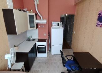 Сдается квартира студия, 26 м2, Пенза, улица Лермонтова, 3к4