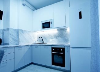 Аренда однокомнатной квартиры, 30 м2, Санкт-Петербург, Дальневосточный проспект, 19к1, Невский район