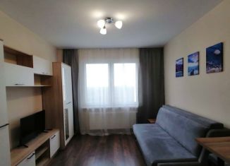 Сдаю в аренду квартиру студию, 21 м2, Санкт-Петербург, Пейзажная улица, 30, метро Гражданский проспект