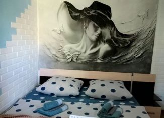 Дом в аренду, 35 м2, село Окунёвка, улица Крупской, 57