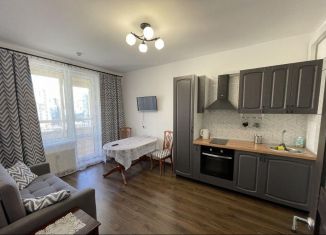 Сдается 1-ком. квартира, 33 м2, Санкт-Петербург, Комендантский проспект, 66к1, метро Комендантский проспект