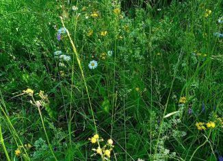 Продам участок, 15 сот., деревня Двигатель