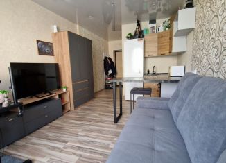 Продам квартиру студию, 23.8 м2, Новосибирск, улица Романтиков, 9